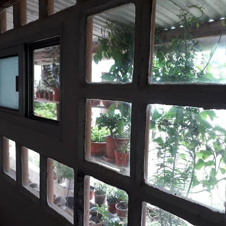 Hostel La Cruz Del Sur Ла-Палома Экстерьер фото