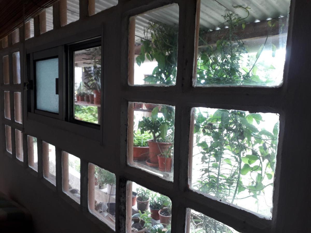 Hostel La Cruz Del Sur Ла-Палома Экстерьер фото