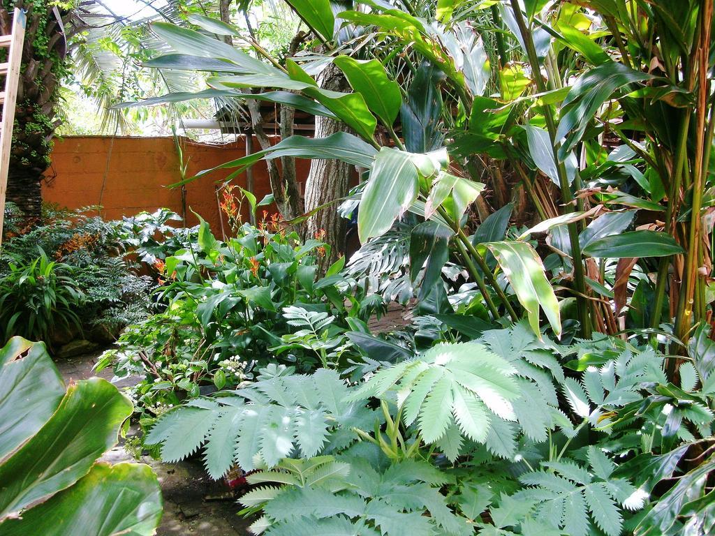 Hostel La Cruz Del Sur Ла-Палома Экстерьер фото