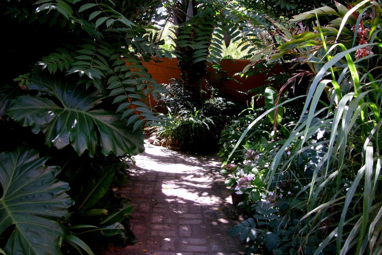 Hostel La Cruz Del Sur Ла-Палома Экстерьер фото